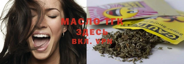 СК Алексин