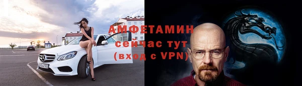 СК Алексин