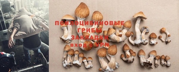 меф Алзамай