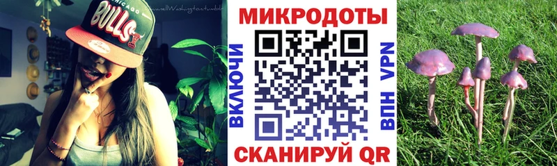 Галлюциногенные грибы Psilocybine cubensis  наркошоп  Жирновск 